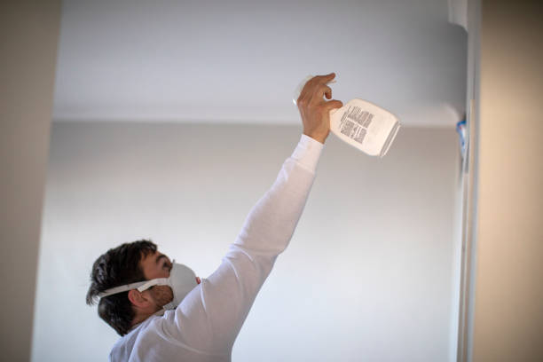 Best Toxic Mold Removal  in Hope, IN