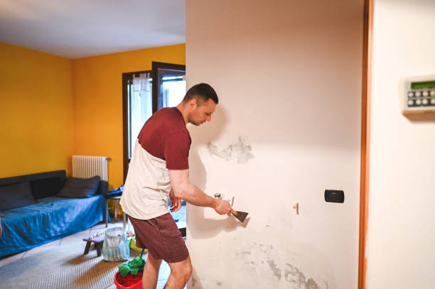 Best Emergency Mold Removal  in Hope, IN